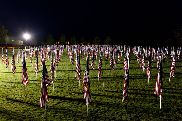 Field of Freedom-5