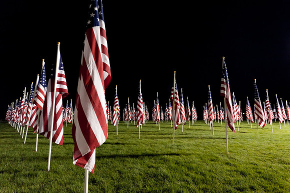 Field of Freedom-6