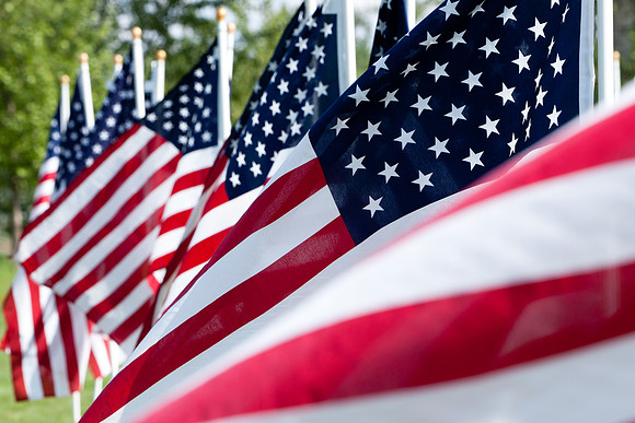 Field of Freedom-2
