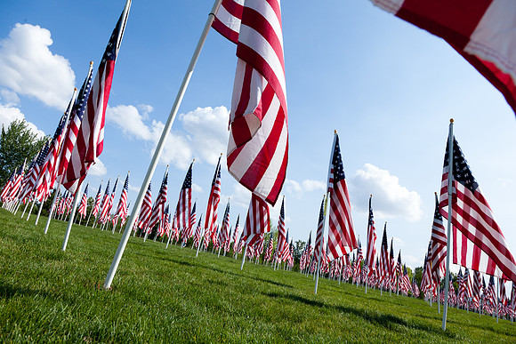 Field of Freedom-3