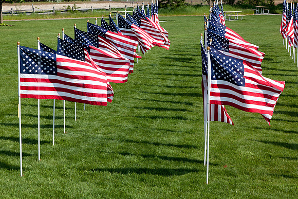 Field of Freedom-4