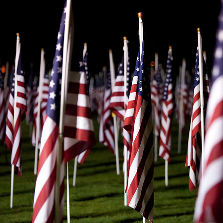 Field of Freedom-7