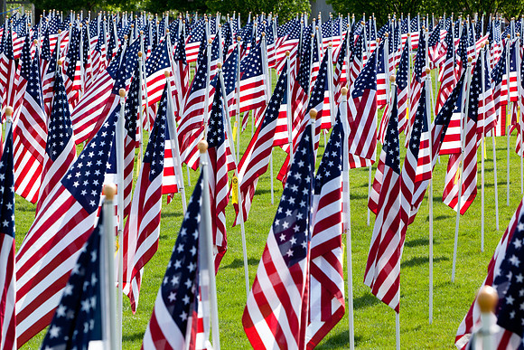 Field of Freedom-1