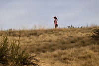 All Images - 2026 XC12K