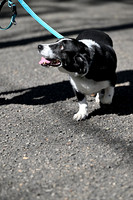 All Images - 2026 SueB 5k