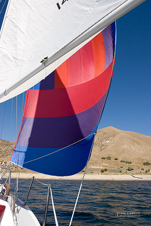 Sailing the Spiniker