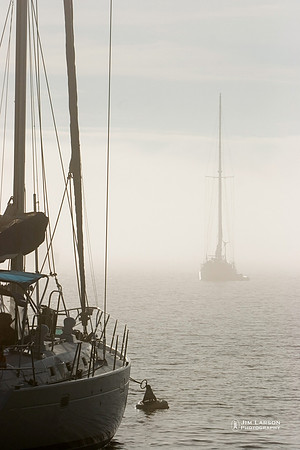 In the Fog