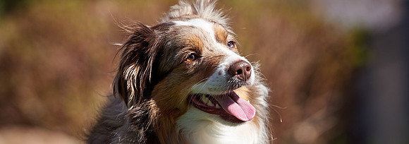 2019_04_Denali_01 2
