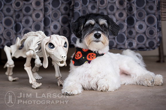 Halloween_2