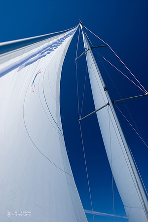 Up the Mast