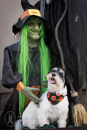 Halloween_1