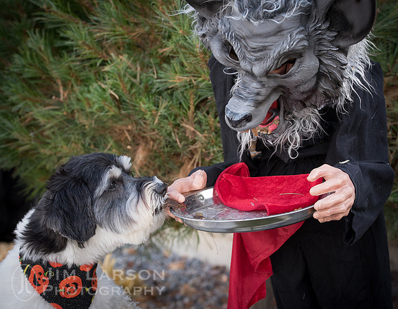 Halloween_4